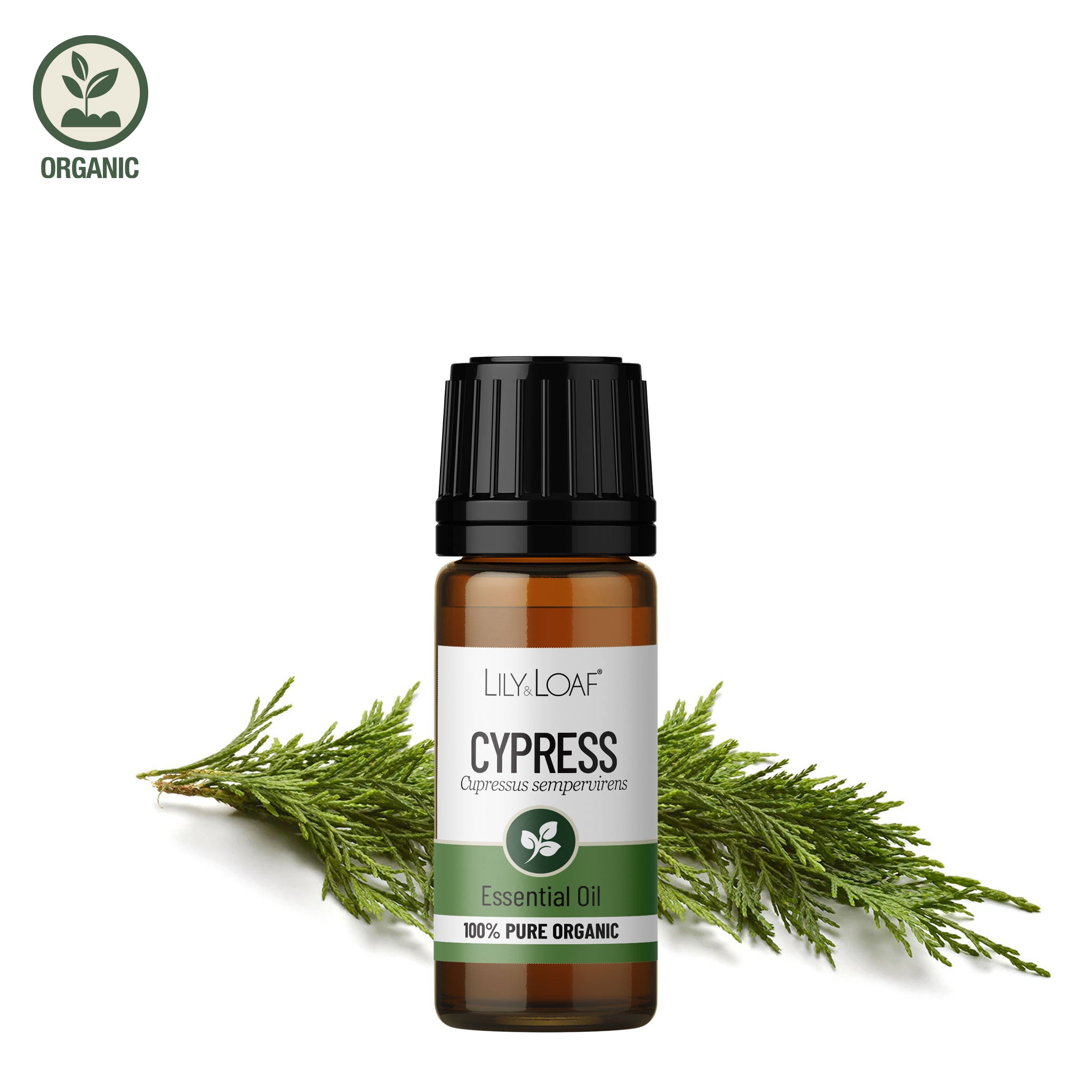 Cypress Organic Essential Oil