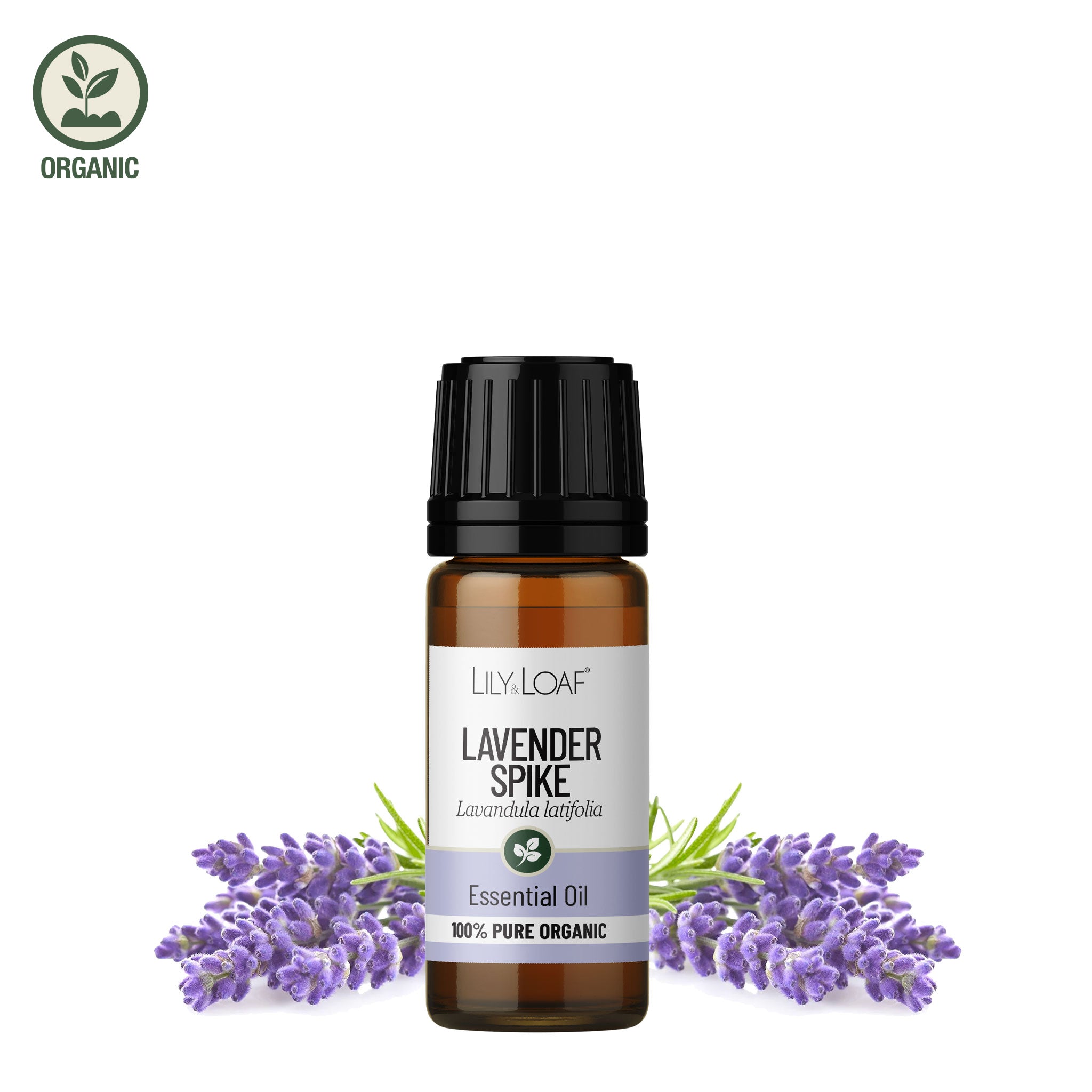 Lavender (Spike) Organic Essential Oil
