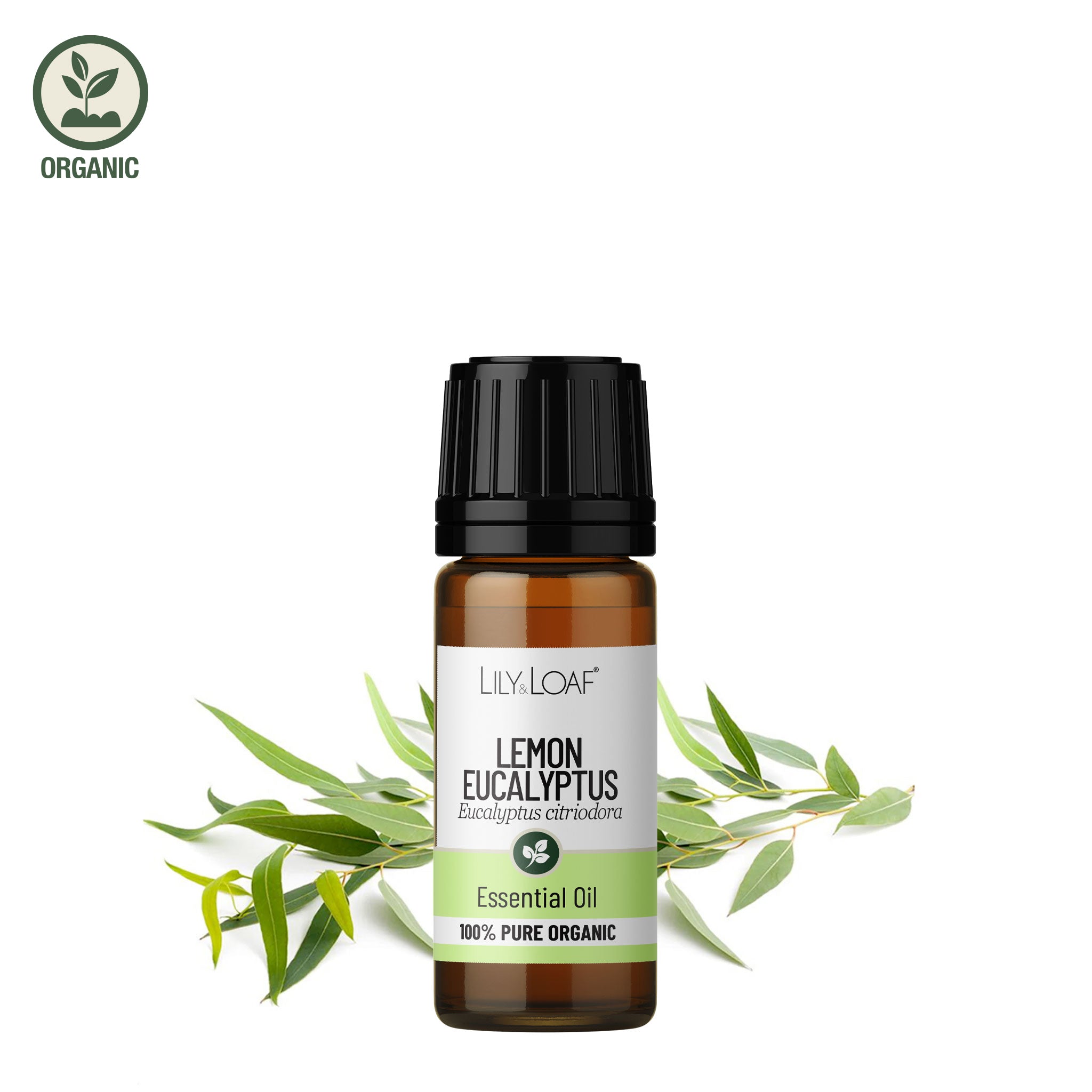 Lemon Eucalyptus Organic Essential Oil