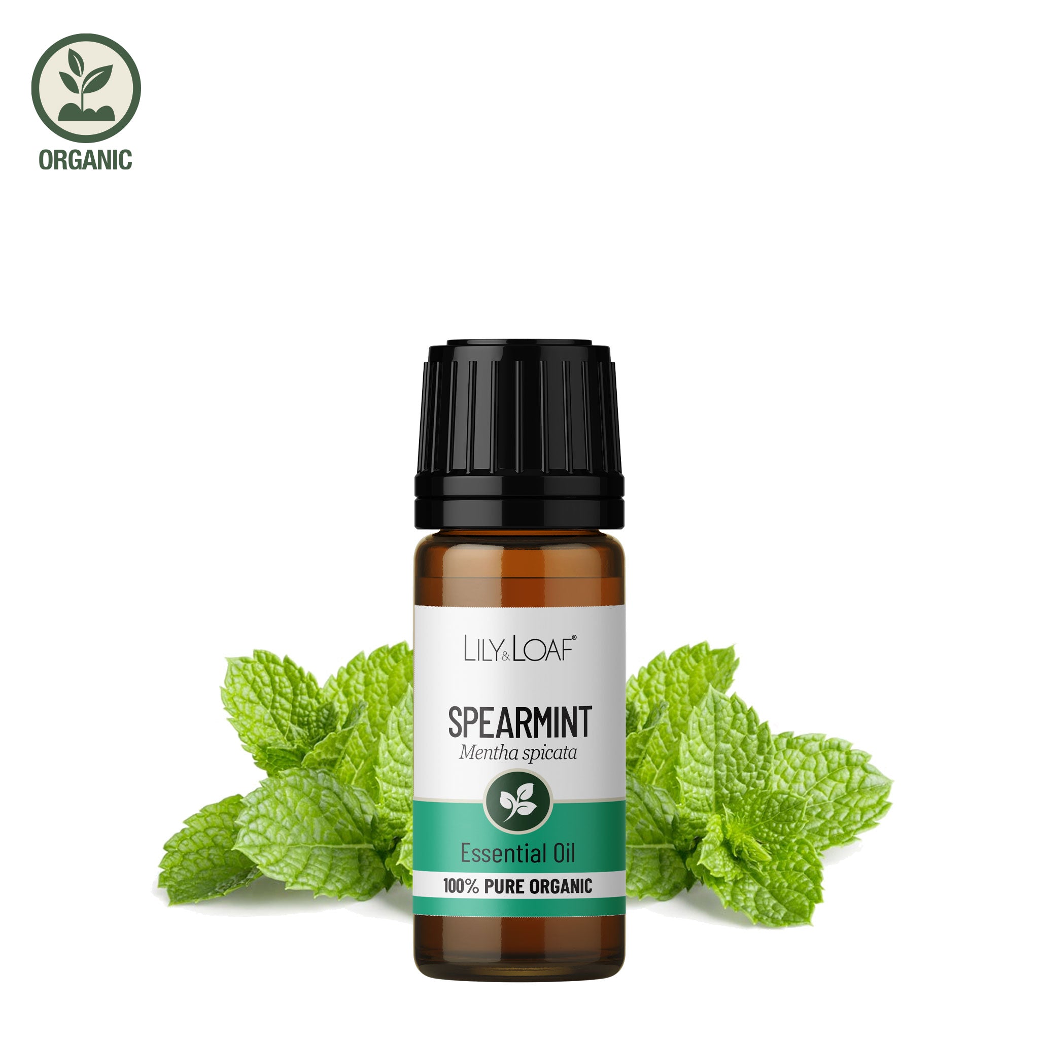 Spearmint Organic Essential Oil