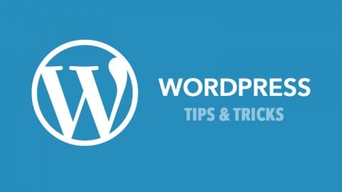 16 Wordpress Tips For Beginners